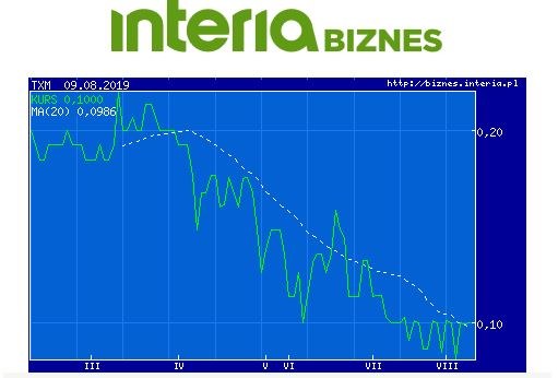 Wykres kursu TXM z ostatniego półrocza /INTERIA.PL