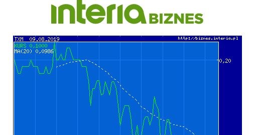 Wykres kursu TXM z ostatniego półrocza /INTERIA.PL