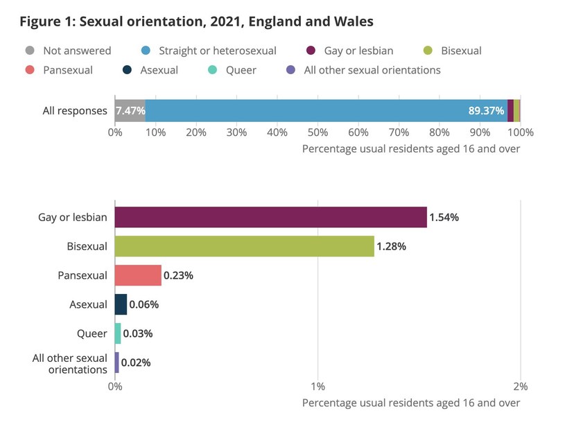 Wykres pokazujący skład populacji LGBTQ w Anglii i Walii / Census 2021 - England & Wales /