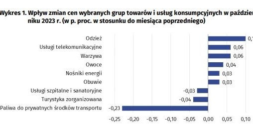 Wykres przedstawiający wpływ zmian cen wybranych grup towarów i usług w październiku 2023 roku /Główny Urząd Statystyczny /GUS