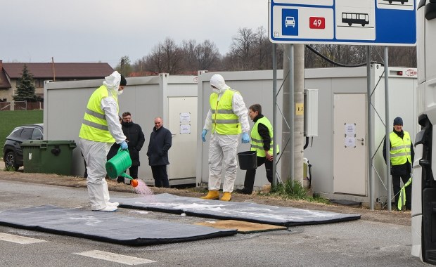 Wykryto kolejne ognisko pryszczycy. Alarm na Węgrzech