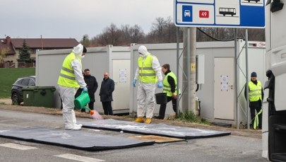Wykryto kolejne ognisko pryszczycy. Alarm na Węgrzech