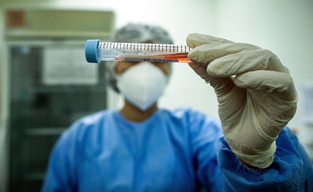 Wykryto nowy, rekordowo zmutowany wariant koronawirusa. Zakażeni: podróżni z Tanzanii