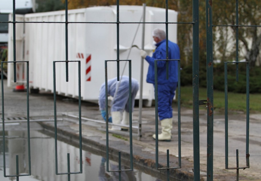 Wykryty na fermie zarazek uważany jest za bardzo zaraźliwy szczep wirusa ptasiej grypy /SUSAN EBEL /PAP/EPA