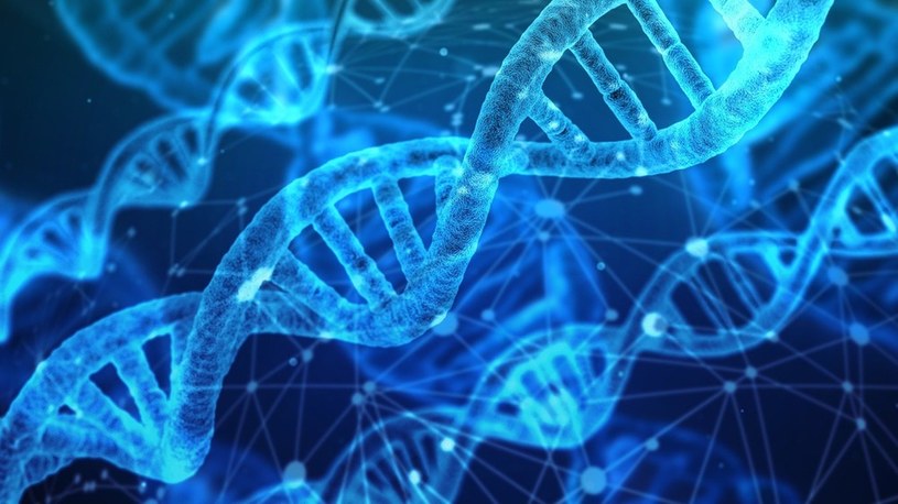 Wykrywanie ludzkiego DNA z powietrza? Naukowcy potwierdzają, że to możliwe /Geekweek