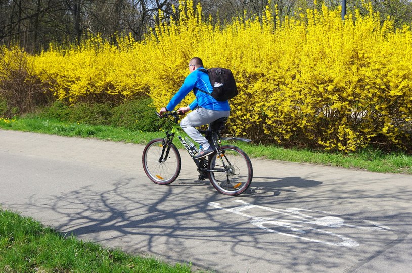 Wykupienie ubezpieczenia OC na rower pozwala lepiej chronić siebie i innych uczestników ruchu. /ZOFIA I MAREK BAZAK / EAST NEWS /East News
