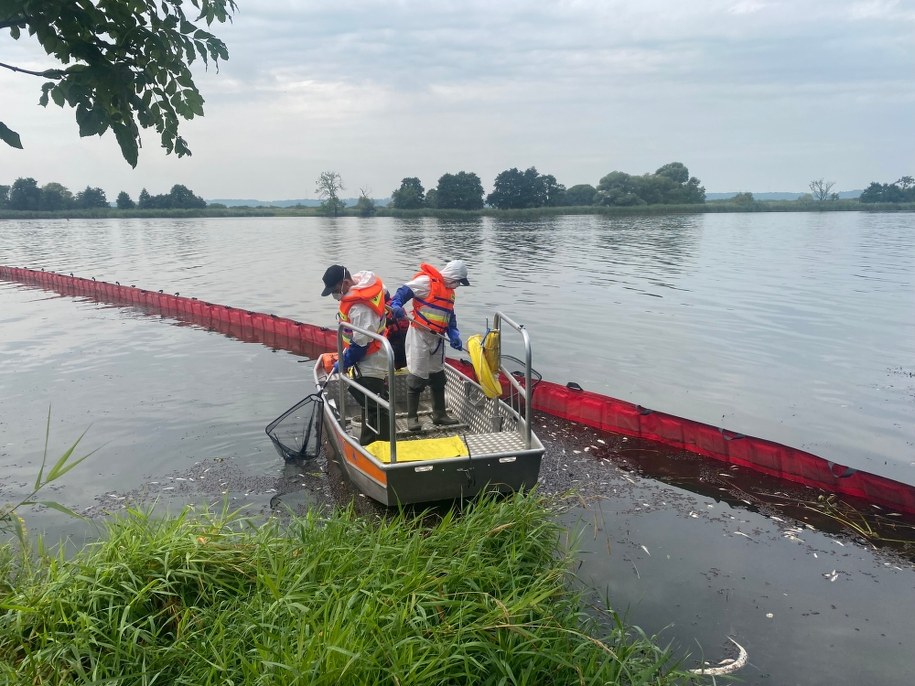 Wyławianie ryb po ubiegłorocznym zatruciu Odry /Aneta Łuczkowska /RMF24