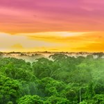 Wylesianie Amazonii na dramatycznym poziomie