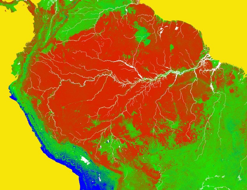 Wylesianie Amazonii postępuje w zastraszającym tempie /materiały prasowe
