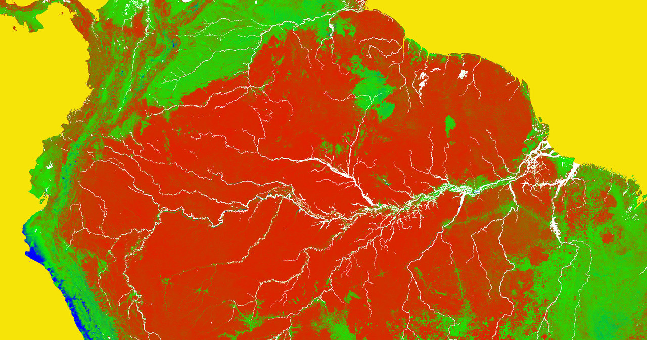 Wylesianie Amazonii postępuje w zastraszającym tempie /materiały prasowe