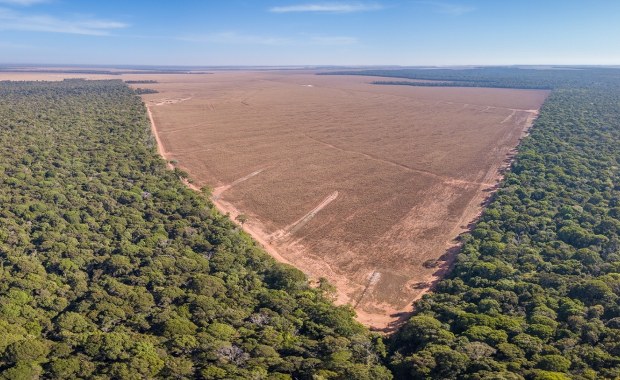 Wylesianie Amazonii. W 4 dekady wycięto obszar prawie trzy razy większy od Polski