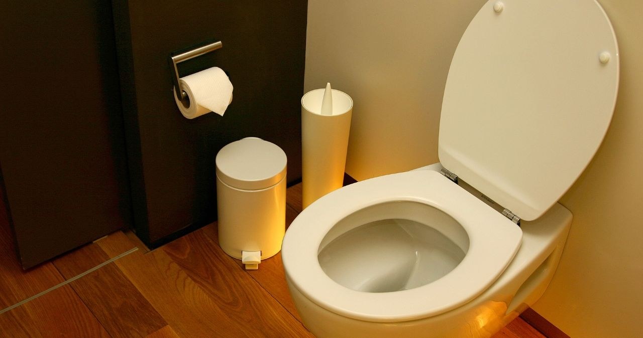 Wylewanie oleju do toalety to częsty błąd /adobestock /INTERIA.PL