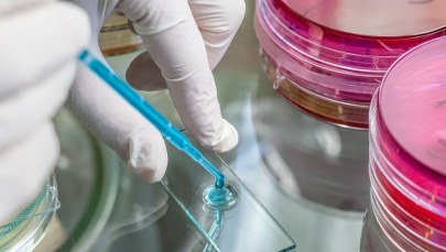 ​Wyłudzenia danych na legionellę. Policja ostrzega przed oszustami