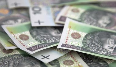 Wyłudzili co najmniej 35 mln zł. Specjalny zespół wyjaśnia sprawę piramidy finansowej