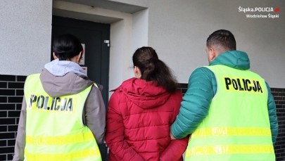 Wyłudzili prawie 14 mln zł. Sześć osób zatrzymanych