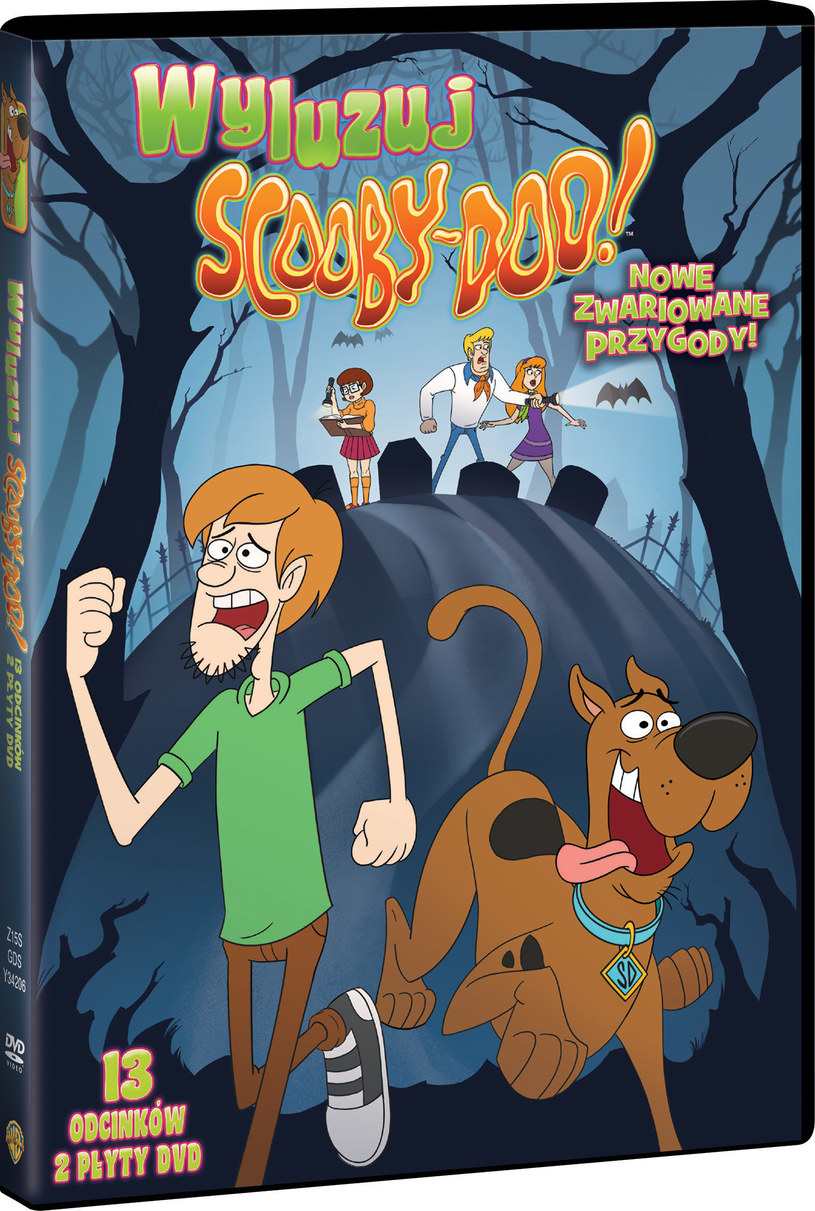 Wyluzj Scooby-Doo już na DVD /materiały prasowe