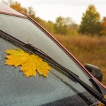 Wymiana wycieraczek. Pamiętaj o trybie serwisowym bo uszkodzisz auto