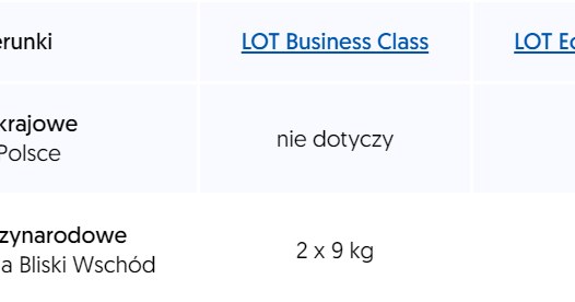 Wymiary bagażu podręcznego LOT /Polskie Linie Lotnicze LOT /materiał zewnętrzny