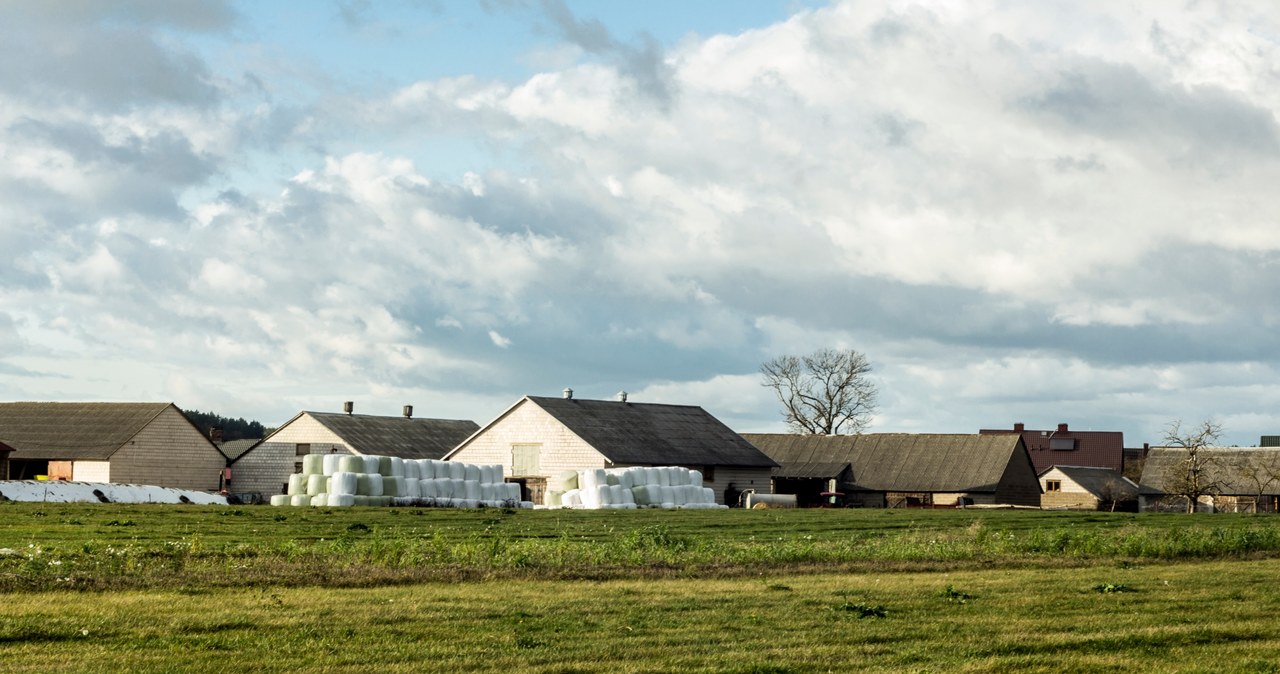 Wynagrodzenie dla sołtysów. W Sejmie złożono projekt ustawy /123RF/PICSEL