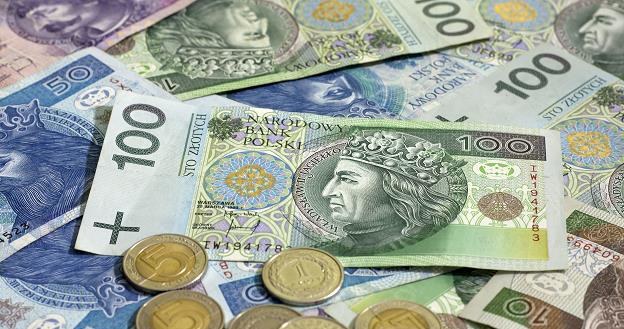 Wynagrodzenie w lipcu rok do roku wzrosło o 7,2 procent /PAP