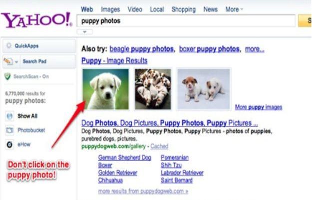 Wynik po wpisaniu "puppy photos". Za zdjęciem kryła się pornografia. fot. TechCrunch /vbeta