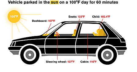 Wyniki badań temperatury we wnetrzu samochodu pozostawionego w upalny dzień w słońcu lub w cieniu /Arizona State University /Materiały prasowe