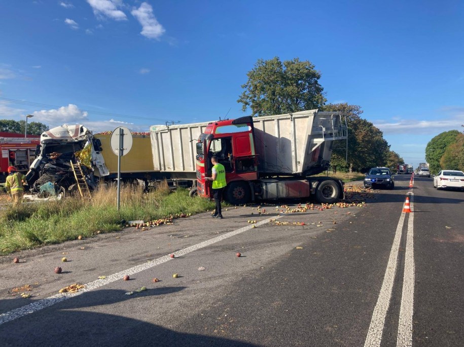 Wypadek dwóch ciężarówek na DK12 na Lubelszczyźnie /Policja Lubelska /