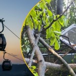 Wypadek kolejki górskiej we Włoszech. Są ofiary