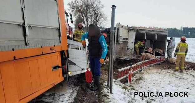 Wypadek na dk 60 /KMP Płock /