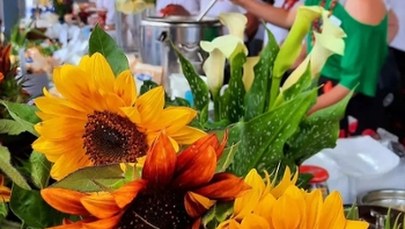 Wypadek na festiwalu gastronomicznym. 6 osób poparzonych