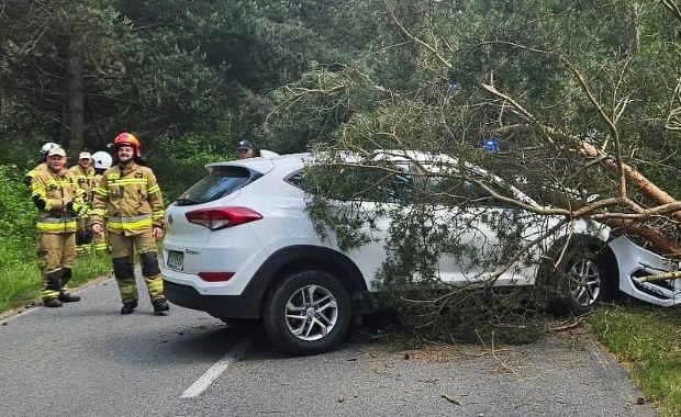 ​Wypadek na Półwyspie Helskim. Kobieta uderzyła w drzewo