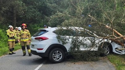 ​Wypadek na Półwyspie Helskim. Kobieta uderzyła w drzewo