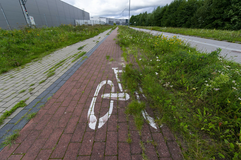 Wypadek na ścieżce rowerowej w Józefowie / Zdjęcie ilustracyjne /Stanisław Bielski/Reporter /East News