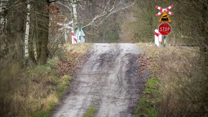 Wypadek pociągu na niestrzeżonym przejeździe w Borkowicach 