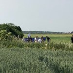 Wypadek szybowca pod Ostrowem Wielkopolskim. Zginął pilot