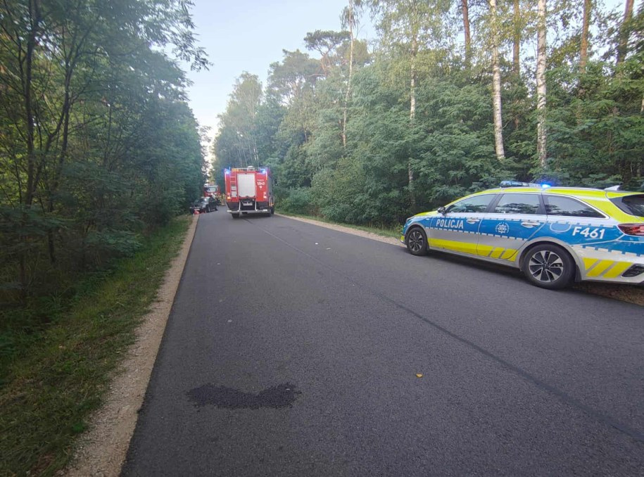 Wypadek w Grobli /Komenda Powiatowa Policji w Radomsku  /