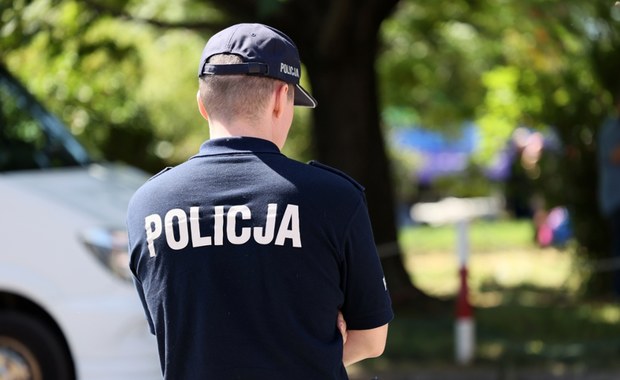 Wypadek w parku rozrywki w Gdańsku. 7-latka spadła z karuzeli