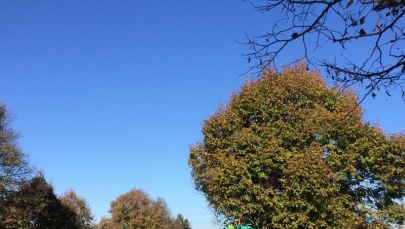 Wypadki na S8 przez brak znaków? GDDKiA sprawdzi