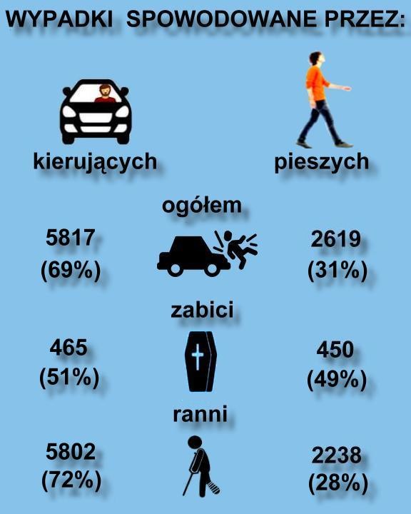 Wypadki spowodowane przez kierujących i pieszych /Informacja prasowa