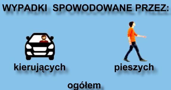 Wypadki spowodowane przez kierujących i pieszych /Informacja prasowa