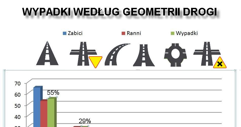 Wypadki według geometrii drogi /Informacja prasowa