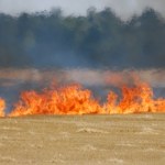 Wypalanie traw może słono kosztować. Jest decyzja prezydenta