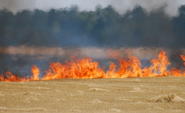 Wypalanie traw może słono kosztować. Jest decyzja prezydenta