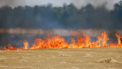 Wypalanie traw może słono kosztować. Jest decyzja prezydenta