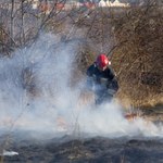 Wypalanie traw: Od początku roku 20 tys. pożarów, w których zginęły 3 osoby