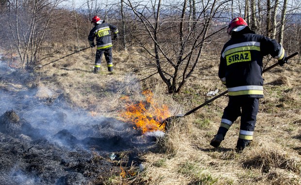 Wypalanie traw to plaga. Strażacy apelują: nie róbcie tego