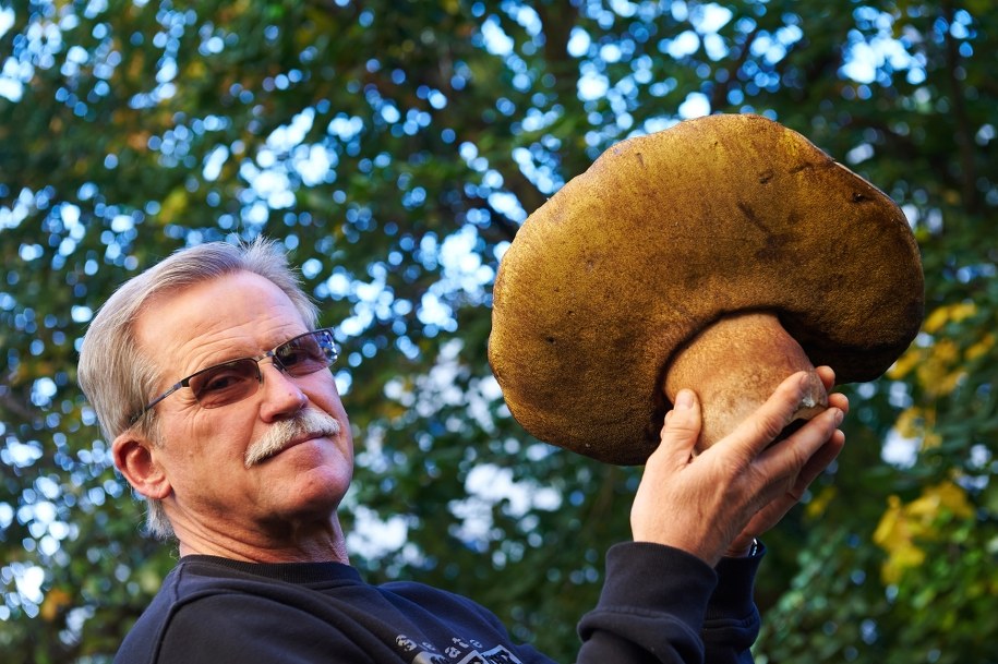 Wypatrzył go pan Maciej z Gdyni /Adam Warżawa /PAP