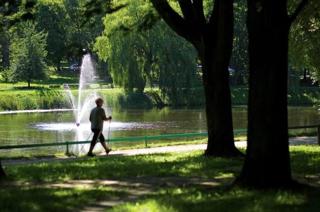 Wypoczywanie w czasie upałów w parkach wcale nie jest tak zdrowe /Tomasz Waszczuk /PAP