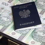Wyprowadzają dochody za granicę. Polska traci 10 mld zł wpływów z podatku