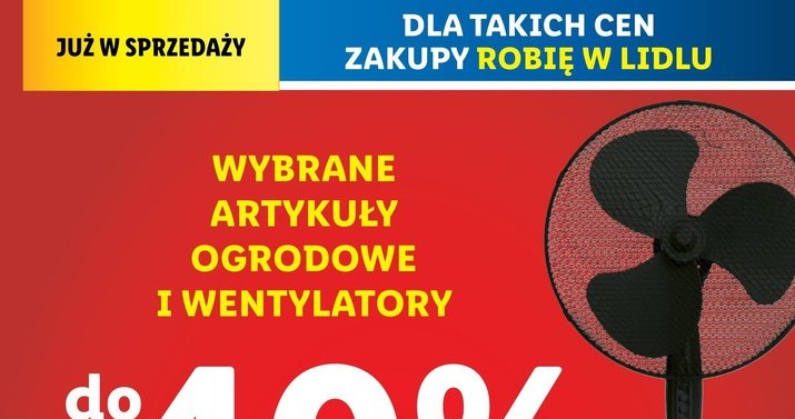 Wyprzedaż artykułów ogrodowych i wentylatorów w Lidlu /Lidl /INTERIA.PL